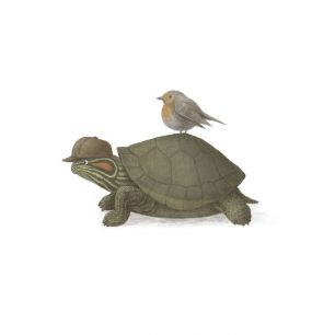 輸入壁紙 カスタム壁紙 PHOTOWALL / Turtle and Bird (e330794)