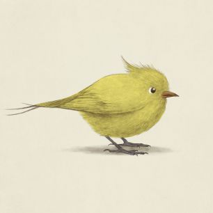 輸入壁紙 カスタム壁紙 PHOTOWALL / Yellow Bird (e330798)