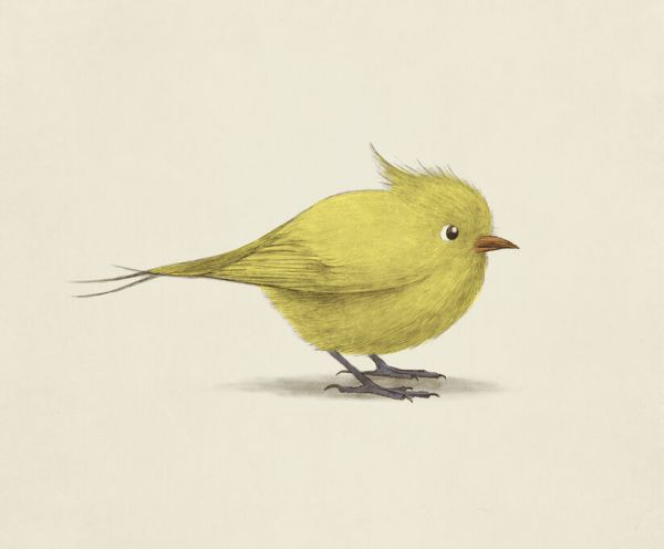 輸入壁紙 カスタム壁紙 PHOTOWALL / Yellow Bird (e330798)