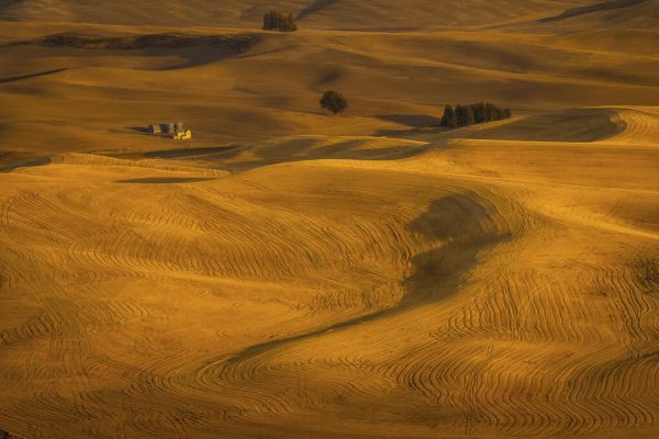 輸入壁紙 カスタム壁紙 PHOTOWALL / Wheat Field in Sunset (e331578)