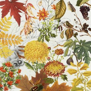 輸入壁紙 カスタム壁紙 PHOTOWALL / Botanical Gardens Autumn (e336844)
