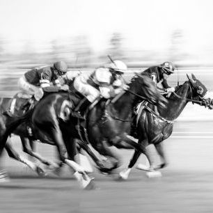輸入壁紙 カスタム壁紙 PHOTOWALL / Horse Racing at Queen's Plate (e337078)