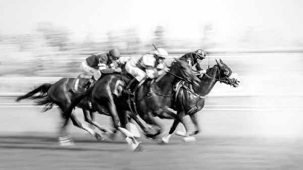 輸入壁紙 カスタム壁紙 PHOTOWALL / Horse Racing at Queen's Plate (e337078)