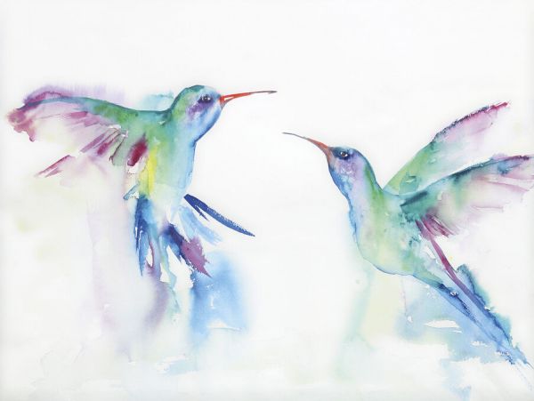 輸入壁紙 カスタム壁紙 PHOTOWALL / Hummingbirds (e330915)