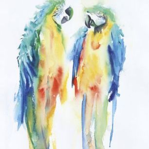 輸入壁紙 カスタム壁紙 PHOTOWALL / Colorful Parrots (e330923)