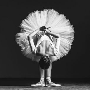 輸入壁紙 カスタム壁紙 PHOTOWALL / Ballerina at Class (e331952)