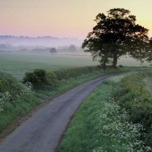輸入壁紙 カスタム壁紙 PHOTOWALL / Summer Morning over Countryside (e331992)