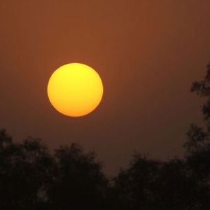 輸入壁紙 カスタム壁紙 PHOTOWALL / Sunrise Over the Mangrove Forest (e332010)