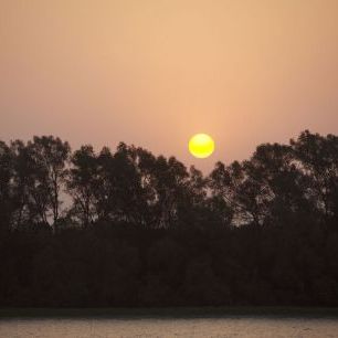 輸入壁紙 カスタム壁紙 PHOTOWALL / Sunrise Over the Mangrove Forest II (e332011)