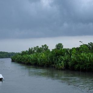 輸入壁紙 カスタム壁紙 PHOTOWALL / Boat in the Sundarbans National Park (e332058)
