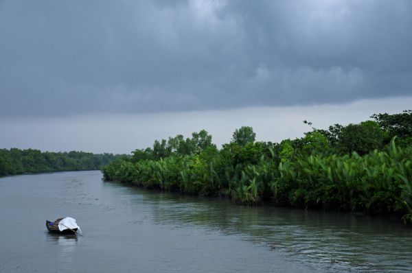 輸入壁紙 カスタム壁紙 PHOTOWALL / Boat in the Sundarbans National Park (e332058)