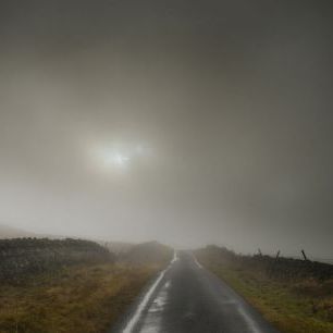 輸入壁紙 カスタム壁紙 PHOTOWALL / Foggy Scene on the Road (e332071)