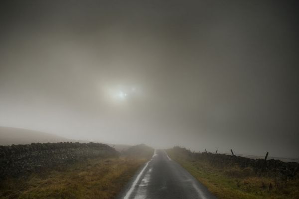 輸入壁紙 カスタム壁紙 PHOTOWALL / Foggy Scene on the Road (e332071)