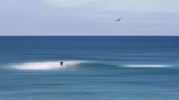 輸入壁紙 カスタム壁紙 PHOTOWALL / Surfing (e332180)