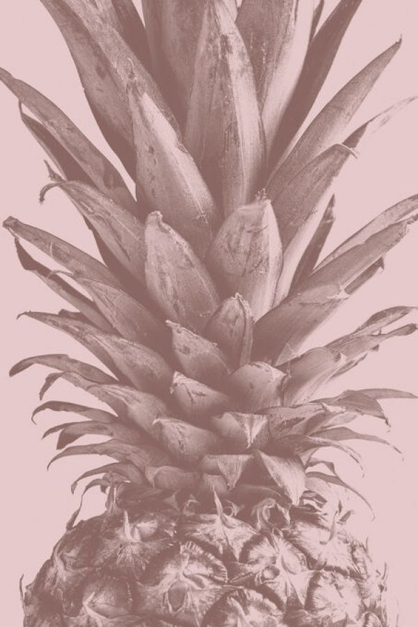 輸入壁紙 カスタム壁紙 PHOTOWALL / Pineapple Close Up (e332350)
