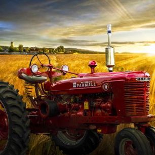 輸入壁紙 カスタム壁紙 PHOTOWALL / Red Tractor in Sunset Gold (e332509)