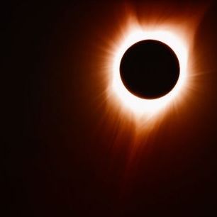 輸入壁紙 カスタム壁紙 PHOTOWALL / Eclipse (e332542)