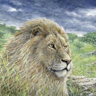 輸入壁紙 カスタム壁紙 PHOTOWALL / Lion Painting (e332560)