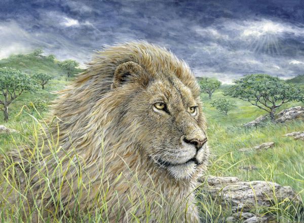 輸入壁紙 カスタム壁紙 PHOTOWALL / Lion Painting (e332560)