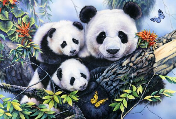 輸入壁紙 カスタム壁紙 PHOTOWALL / Panda Family (e332565)