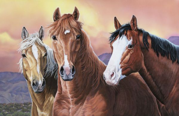 輸入壁紙 カスタム壁紙 PHOTOWALL / Mustang Horses (e332566)