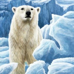 輸入壁紙 カスタム壁紙 PHOTOWALL / Ice Bear Polar Bear (e332572)