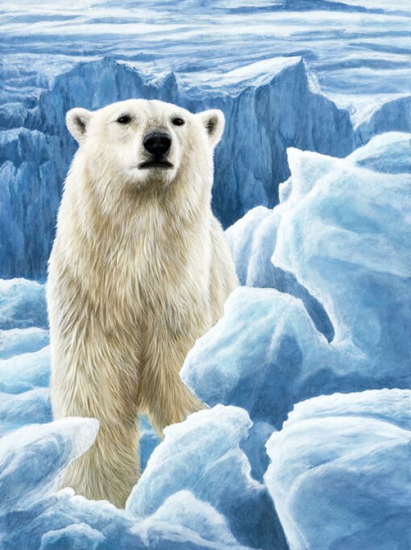 輸入壁紙 カスタム壁紙 PHOTOWALL / Ice Bear Polar Bear (e332572)