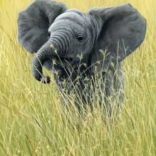 輸入壁紙 カスタム壁紙 PHOTOWALL / Elephant in the Grass (e332576)