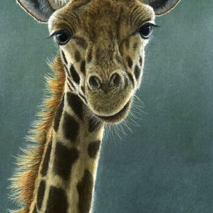 輸入壁紙 カスタム壁紙 PHOTOWALL / Giraffe Beauty (e332577)