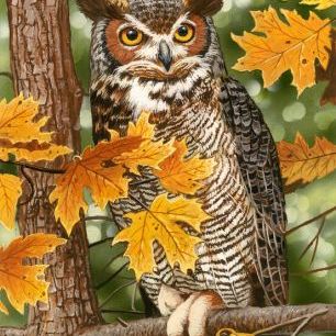 輸入壁紙 カスタム壁紙 PHOTOWALL / Autumn Owl (e332609)