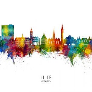 輸入壁紙 カスタム壁紙 PHOTOWALL / Lille France Skyline (e332858)