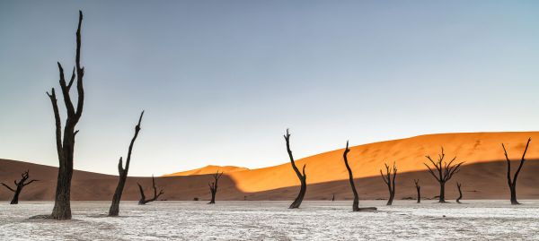 輸入壁紙 カスタム壁紙 PHOTOWALL / Namibian Desert (e333712)