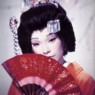 輸入壁紙 カスタム壁紙 PHOTOWALL / My Geisha (e334485)