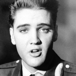 輸入壁紙 カスタム壁紙 PHOTOWALL / Elvis Presley (e334507)