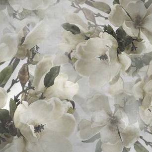 輸入壁紙 カスタム壁紙 PHOTOWALL / Magnolias (e334595)