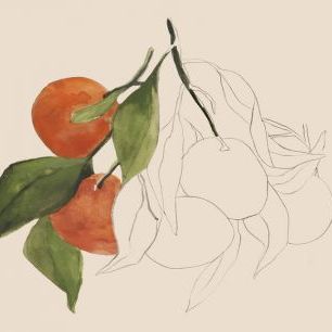 輸入壁紙 カスタム壁紙 PHOTOWALL / Tangerine Sketch II (e334875)