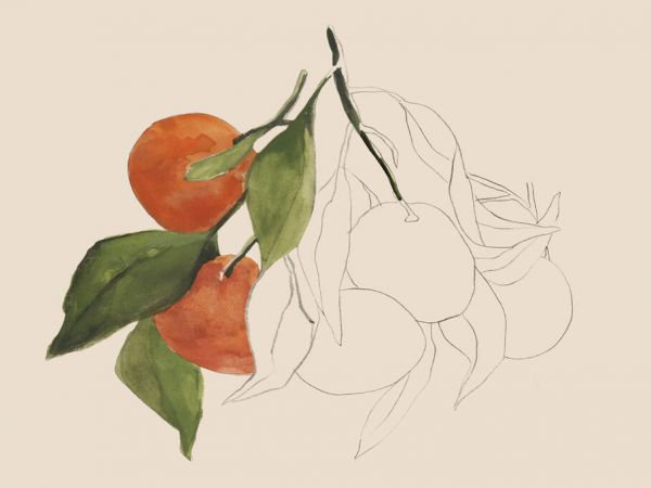 輸入壁紙 カスタム壁紙 PHOTOWALL / Tangerine Sketch II (e334875)