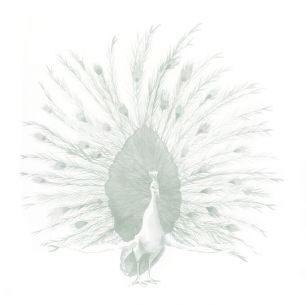 輸入壁紙 カスタム壁紙 PHOTOWALL / Sage Peacock (e334917)
