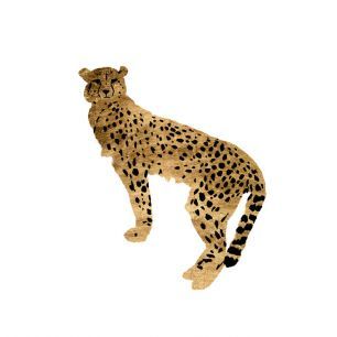 輸入壁紙 カスタム壁紙 PHOTOWALL / Golden Cheetah (e334983)