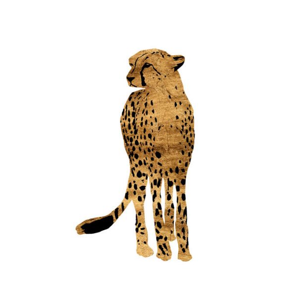 輸入壁紙 カスタム壁紙 Photowall Golden Cheetah Iii 壁紙屋本舗
