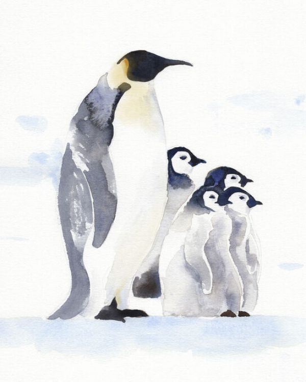 輸入壁紙 カスタム壁紙 PHOTOWALL / Emperor Penguins (e335027)