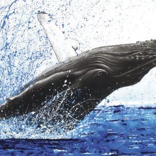 輸入壁紙 カスタム壁紙 PHOTOWALL / Moreton Whale Dance (e338674)