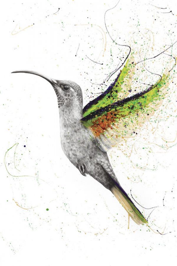 輸入壁紙 カスタム壁紙 PHOTOWALL / Hero Hummingbird (e83891)