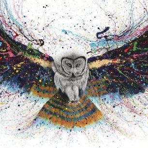 輸入壁紙 カスタム壁紙 PHOTOWALL / Hypnotic Twilight Owl (e83934)