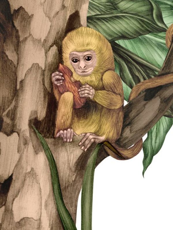 輸入壁紙 カスタム壁紙 PHOTOWALL / Monkey with Treasure (e84094)