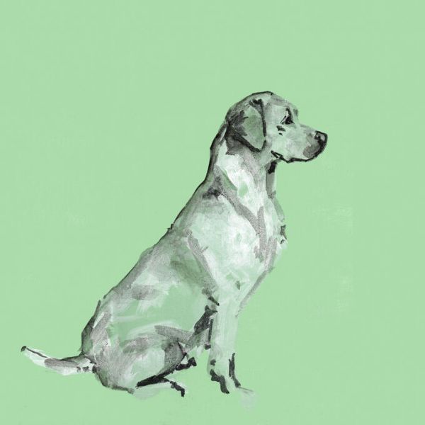 輸入壁紙 カスタム壁紙 PHOTOWALL / A Very Pop Modern Dog III (e336268)