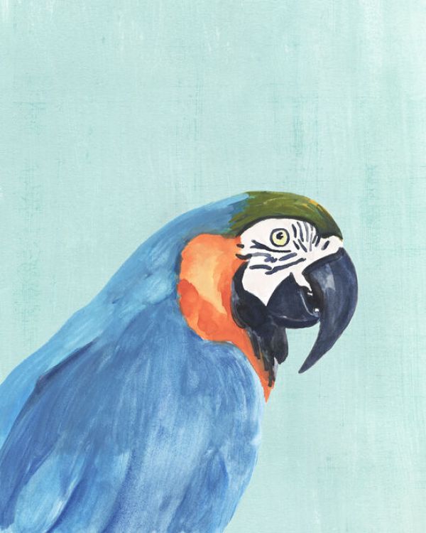 輸入壁紙 カスタム壁紙 PHOTOWALL / Exotic Bird on Blue (e336665)