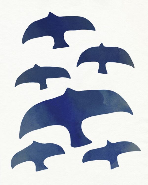 輸入壁紙 カスタム壁紙 PHOTOWALL / Matisse Seagulls II (e336703)