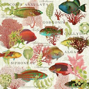 輸入壁紙 カスタム壁紙 PHOTOWALL / Red Coral and Fish (e84733)