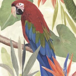 輸入壁紙 カスタム壁紙 PHOTOWALL / Tropical Parrot Composition (e333603)